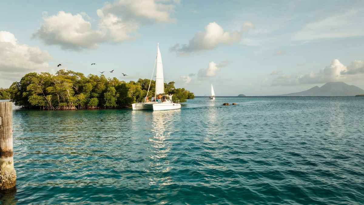 Panama is modernising island transport as maritime decarbonisation gathers pace