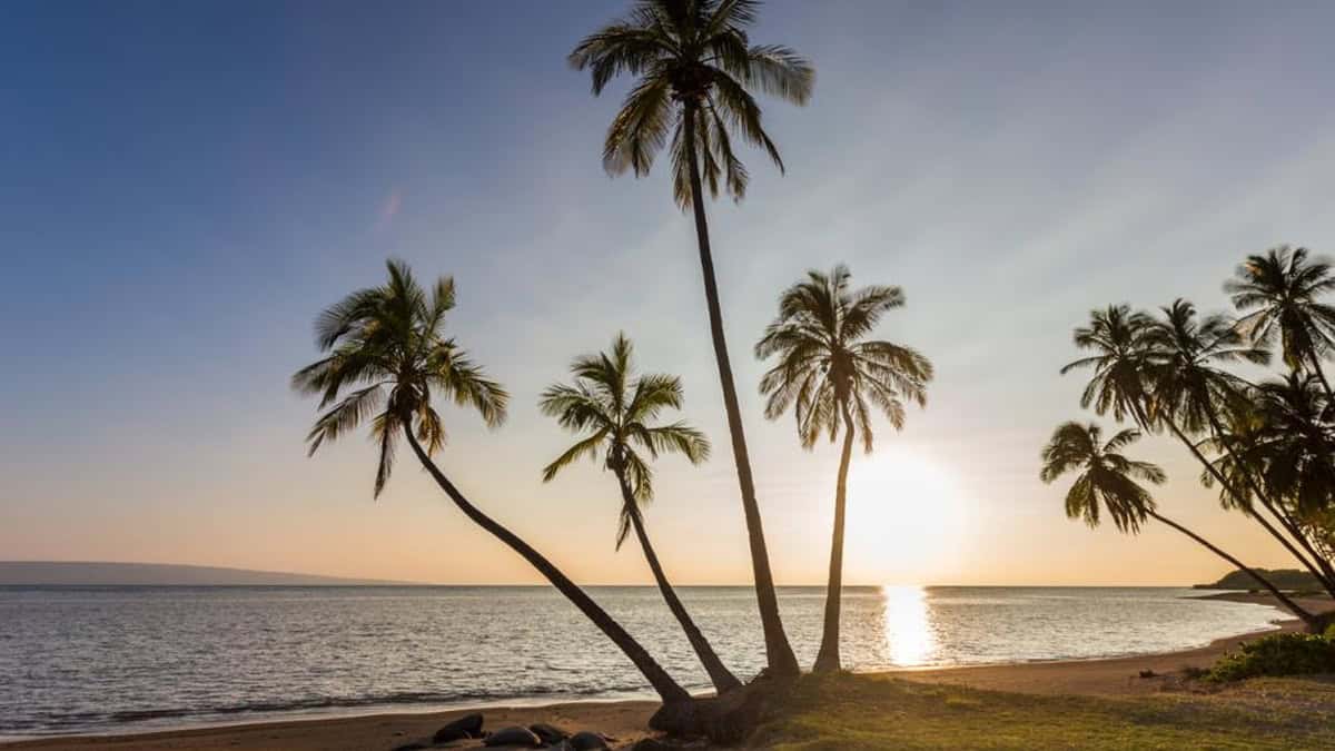 Hawaiʻi coastline
