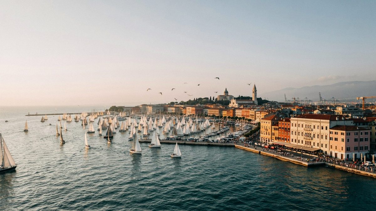 Sailboats gathering in coastal harbor