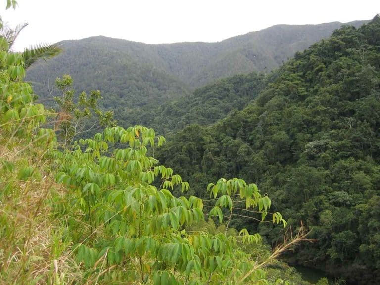 Baracoa