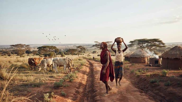 Karamoja’s mountain landscapes and Karamojong traditions create immersive cultural journeys in northeastern Uganda.
