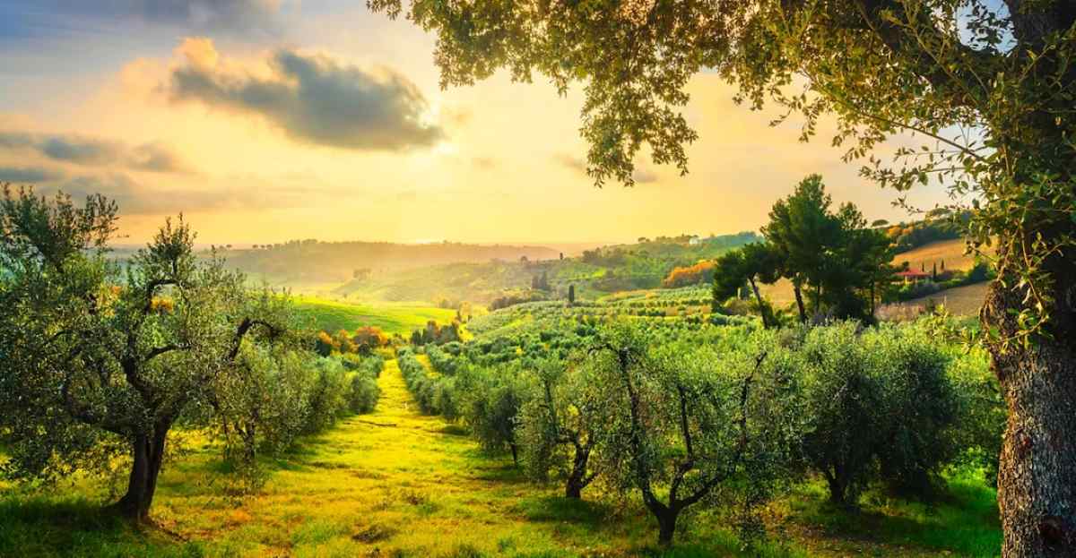 Luxury harvest escapes across europe&rsquo;s wine country