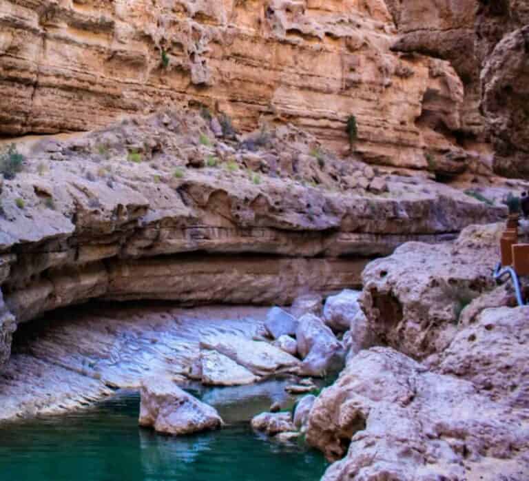 Muscat