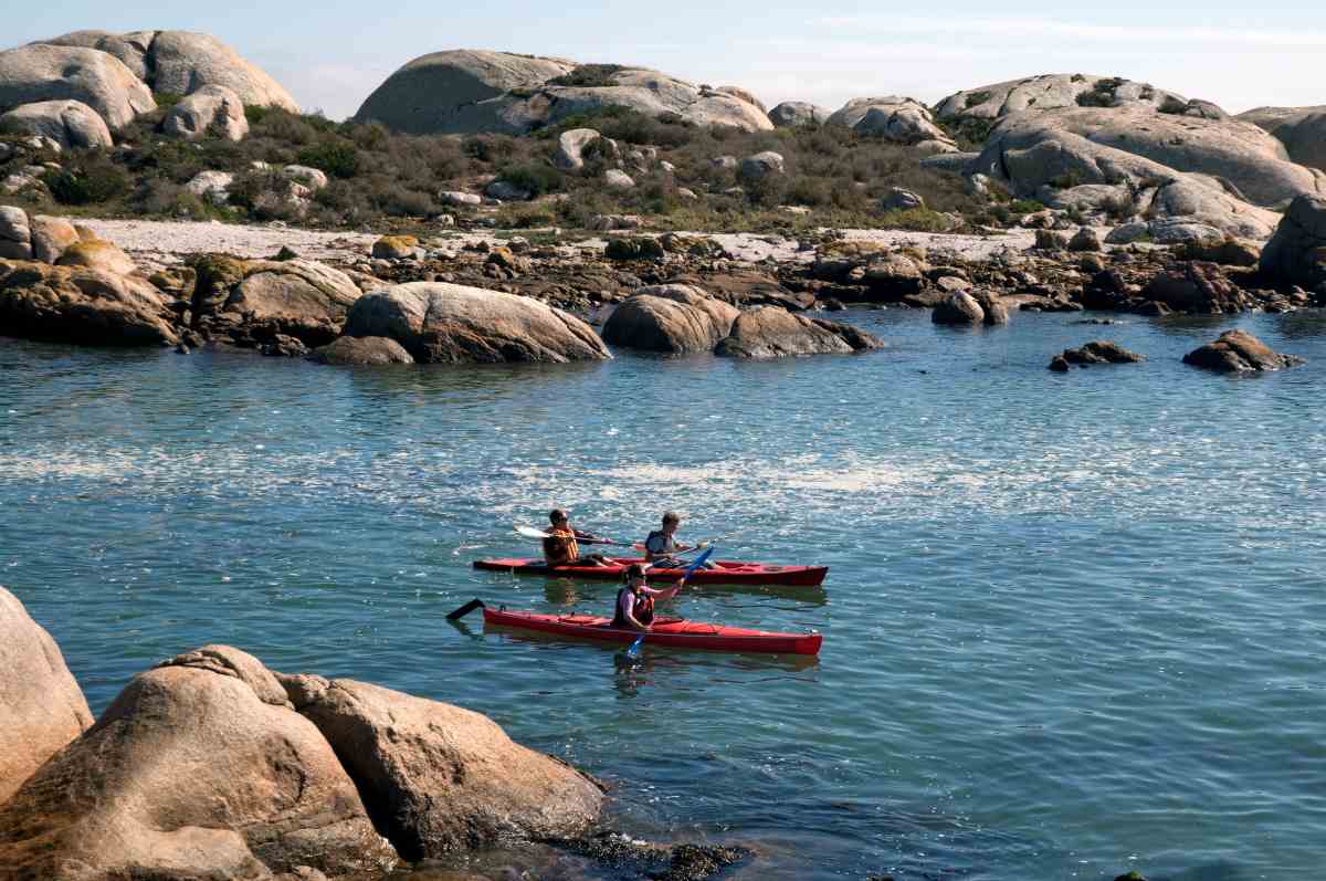 South Africa Tourism Month 2026 Puts Limpopo Heritage And Digital Innovation At The Centre Of Africa’s Next Travel Growth Era – Travel And Tour World