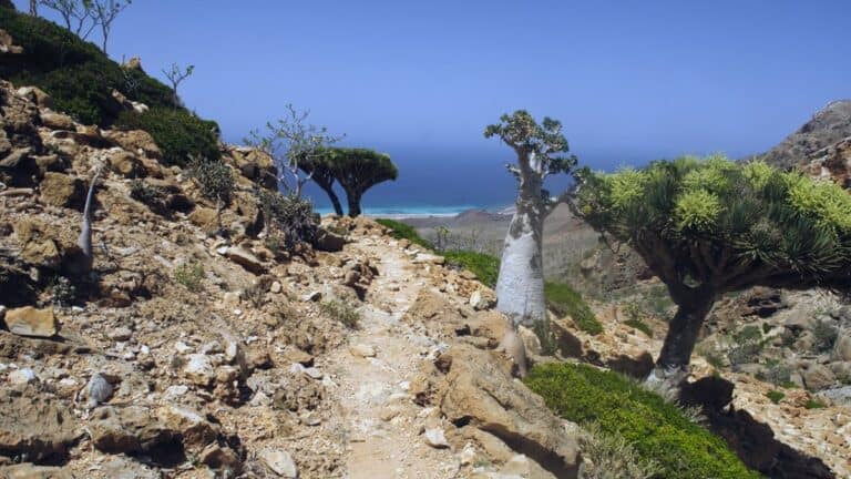 Yemen