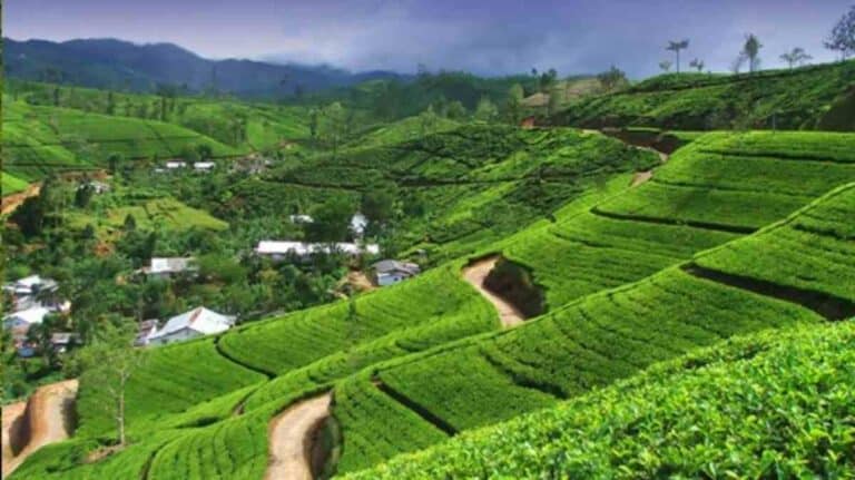 Sri Lanka