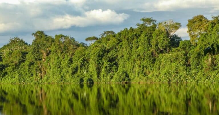 SURINAME