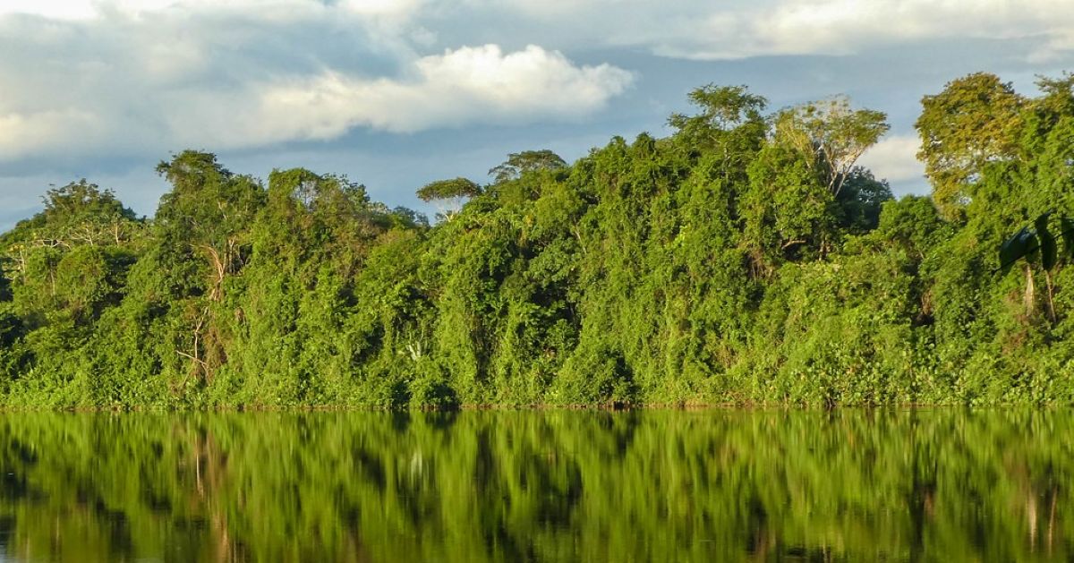 Suriname1