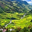 Asia