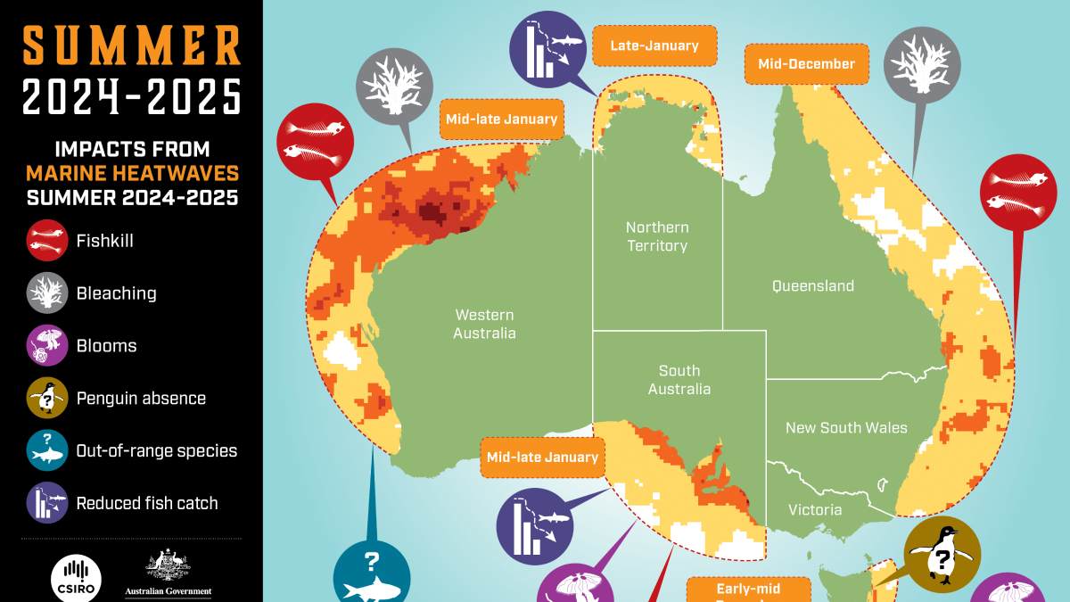 Travel heatwave forecasts