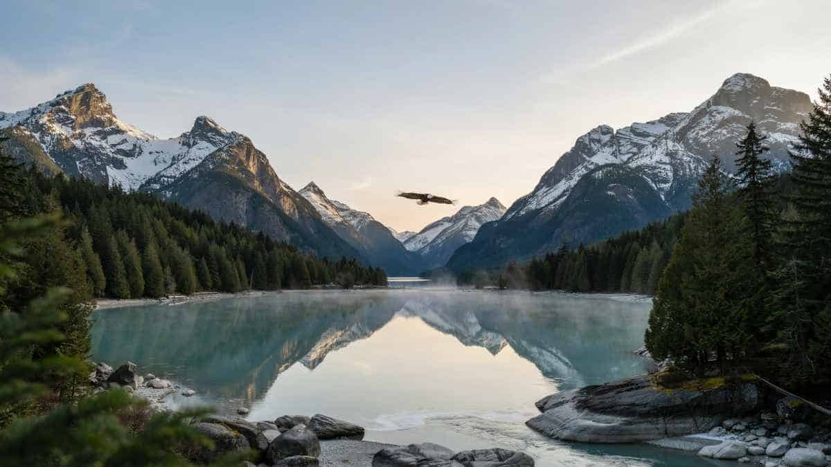 Canada Luxury Travel Takes a Wild Turn From Banff to Vancouver Island