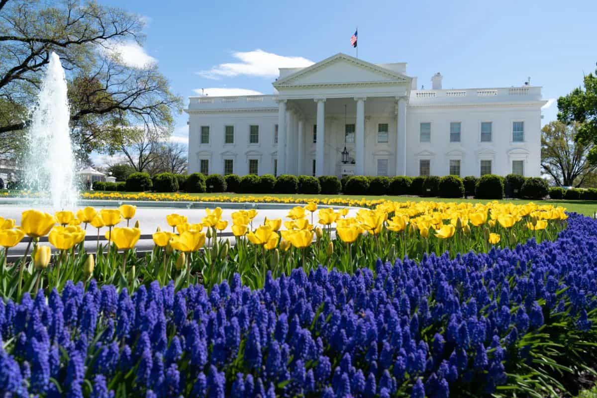 Whitehouse