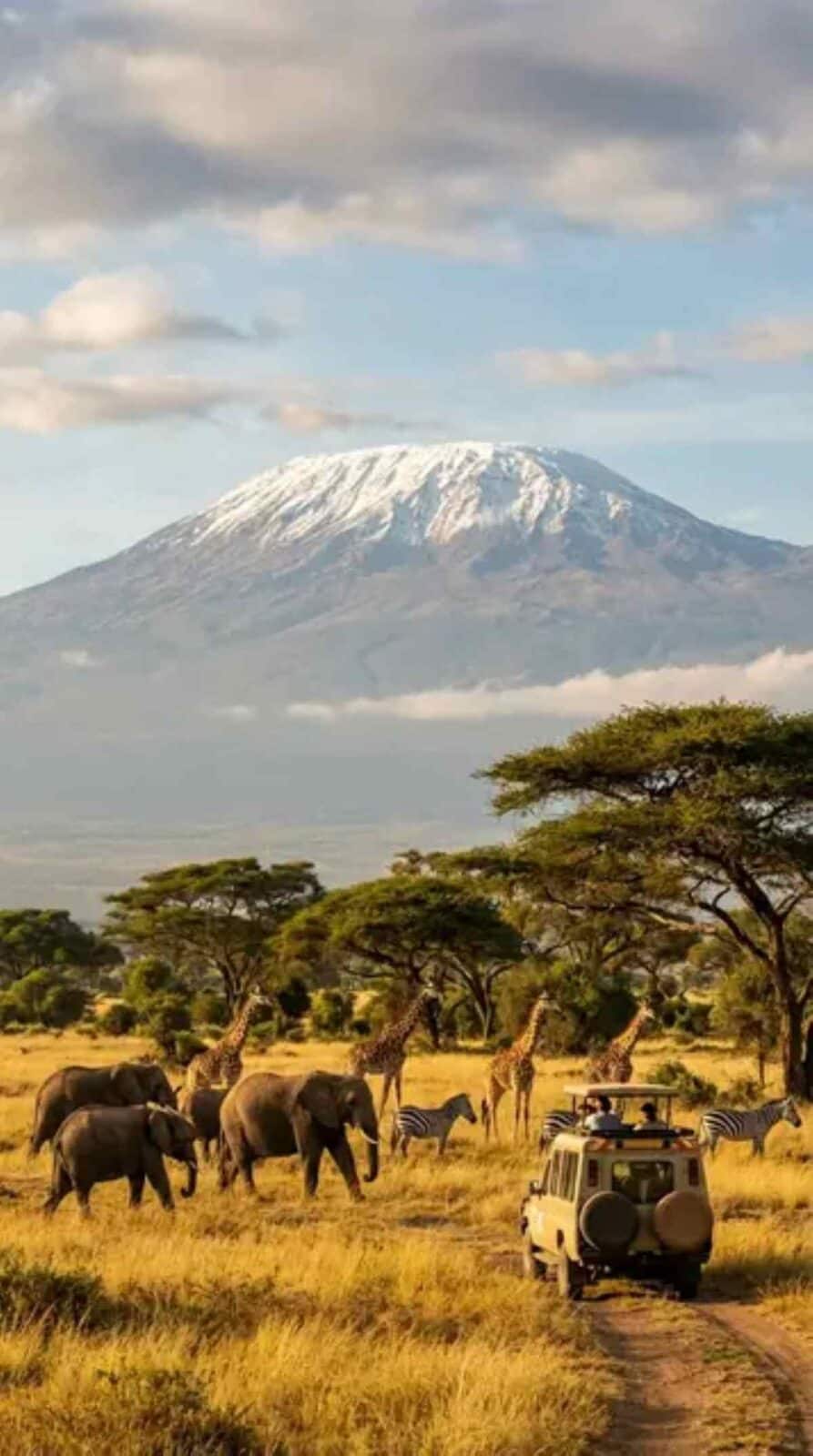 Tanzania&rsquo;s northern safari landscape