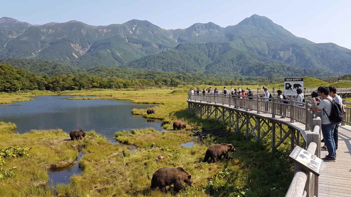 Asian travel