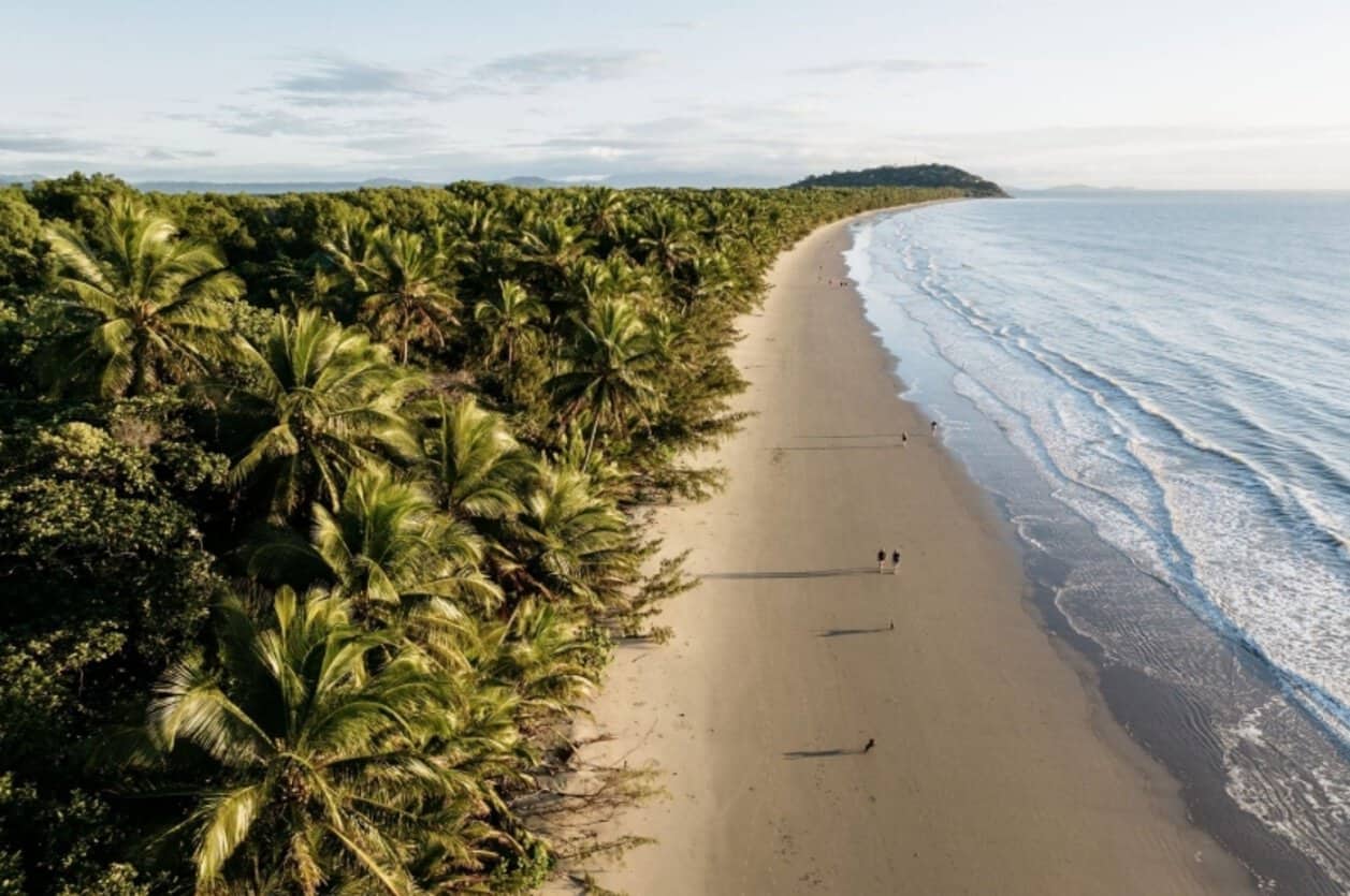 Australia christmas travel - travel and tour world Aerial view of a palm-lined sandy beach with gentle waves and people walking beside the sea.