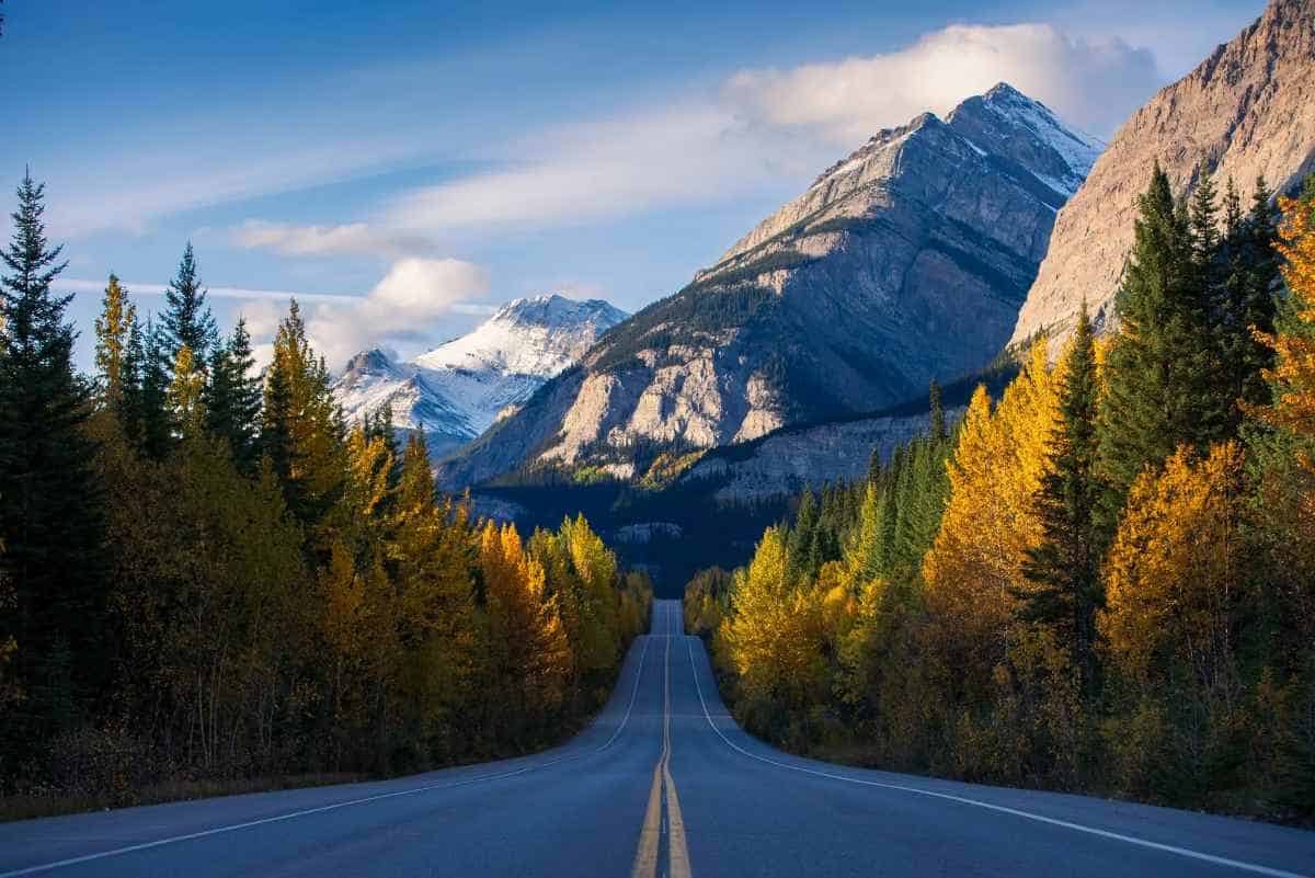 Banff limits traffic to protect wildlife habitat