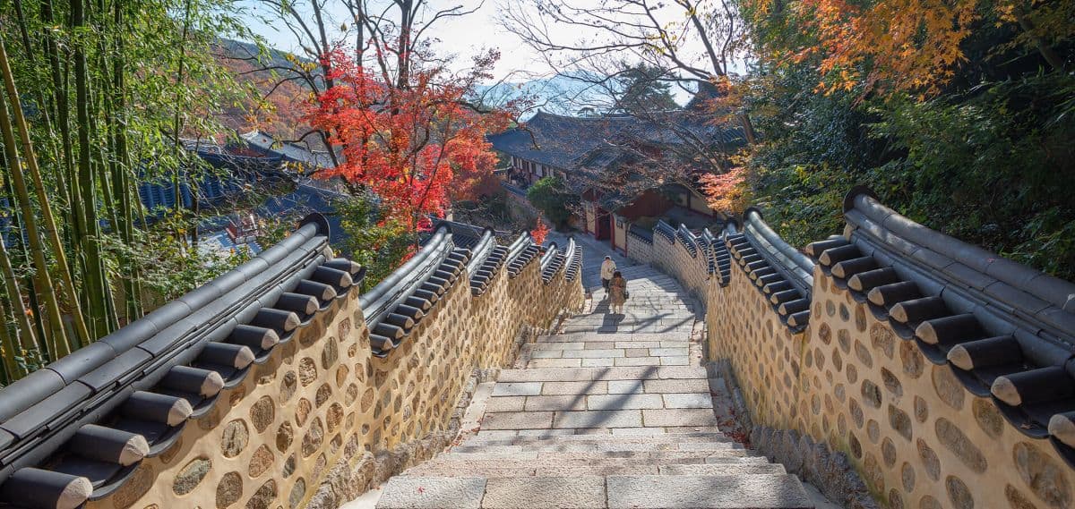 South korea boosts busan tourism with starry night festivals, river cruises and cultural events