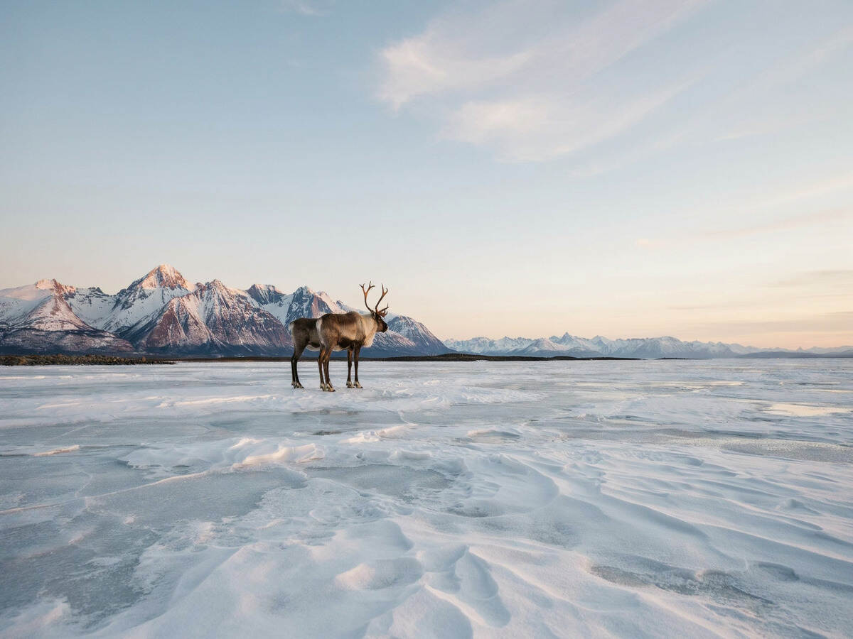 Canada arctic tourism - travel and tour world Canada
