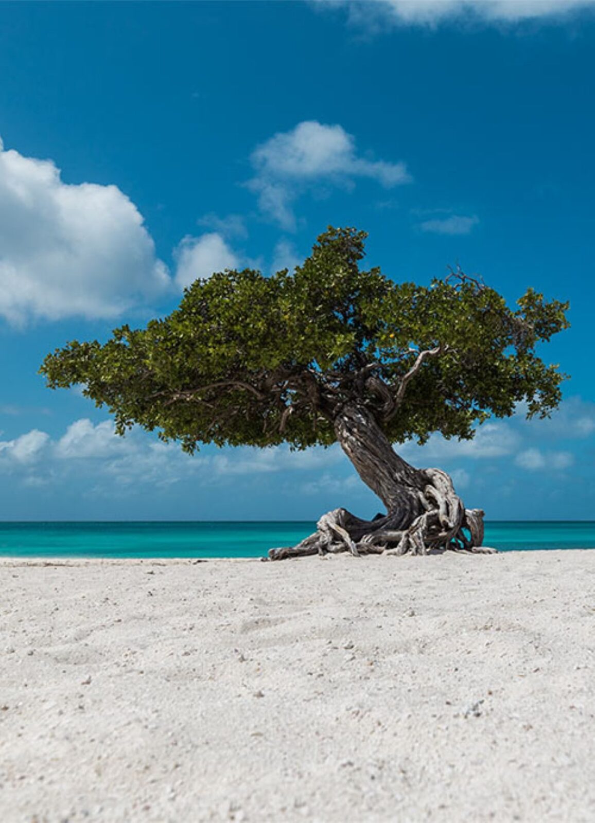 Caribbean beach towns