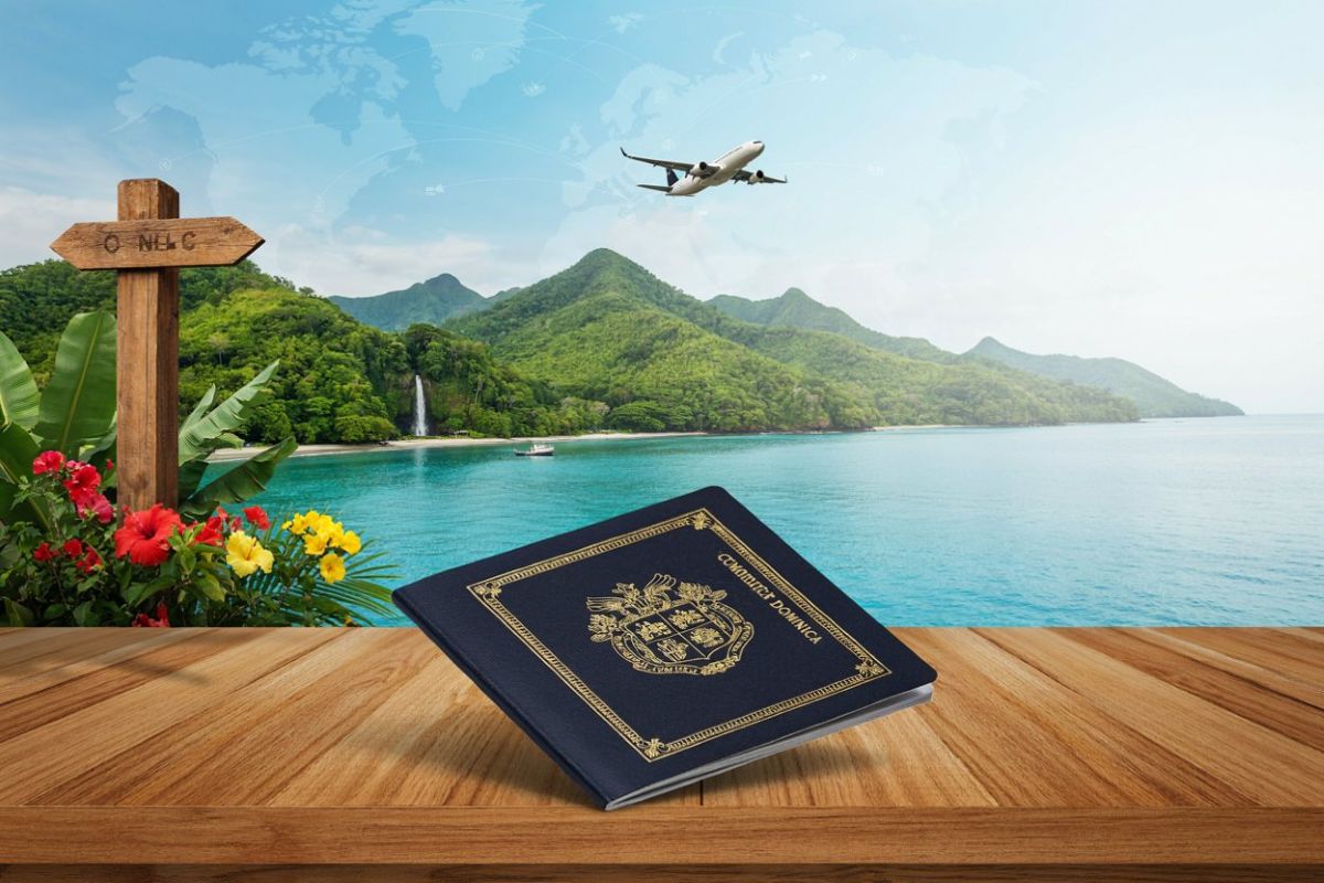 Domi - travel and tour world Visa destinations brings curated experiences and selected offers to eligible canadian cardholders in 10 global locations, including paris and london.