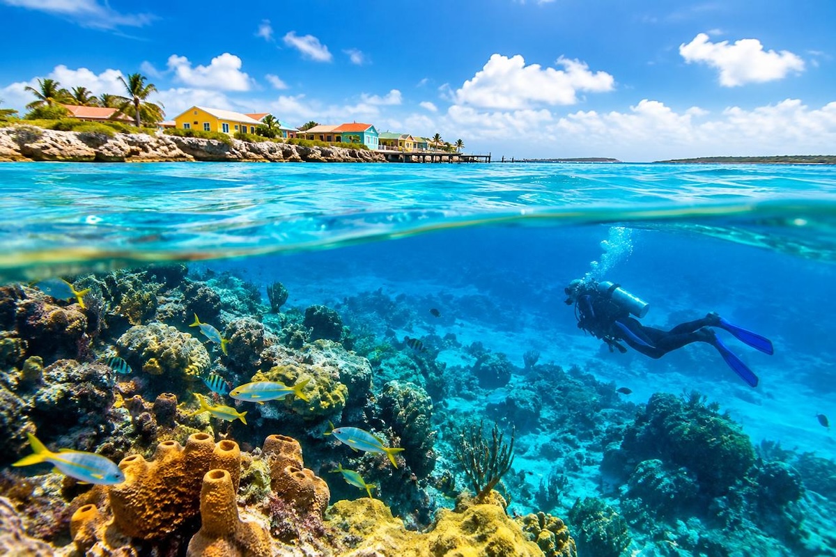 Diving