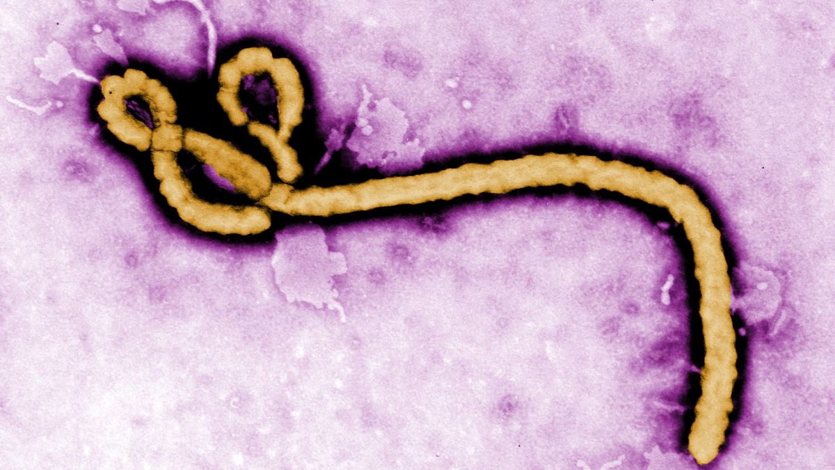 Nigeria Enters the Picture With Kenya and Uganda as Ebola Outbreak Sparks Urgent Questions Over Cross-Border Travel Safety