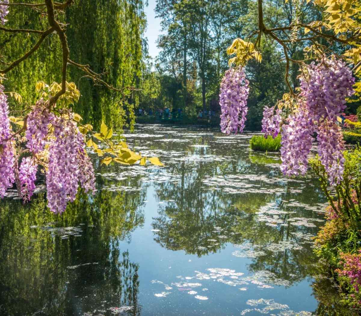 The french riviera enters a stronger autumn season