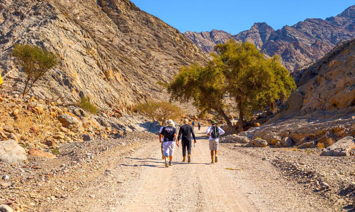 A group of hikers walking along a dirt path surrounded by rugged mountains and sparse trees.