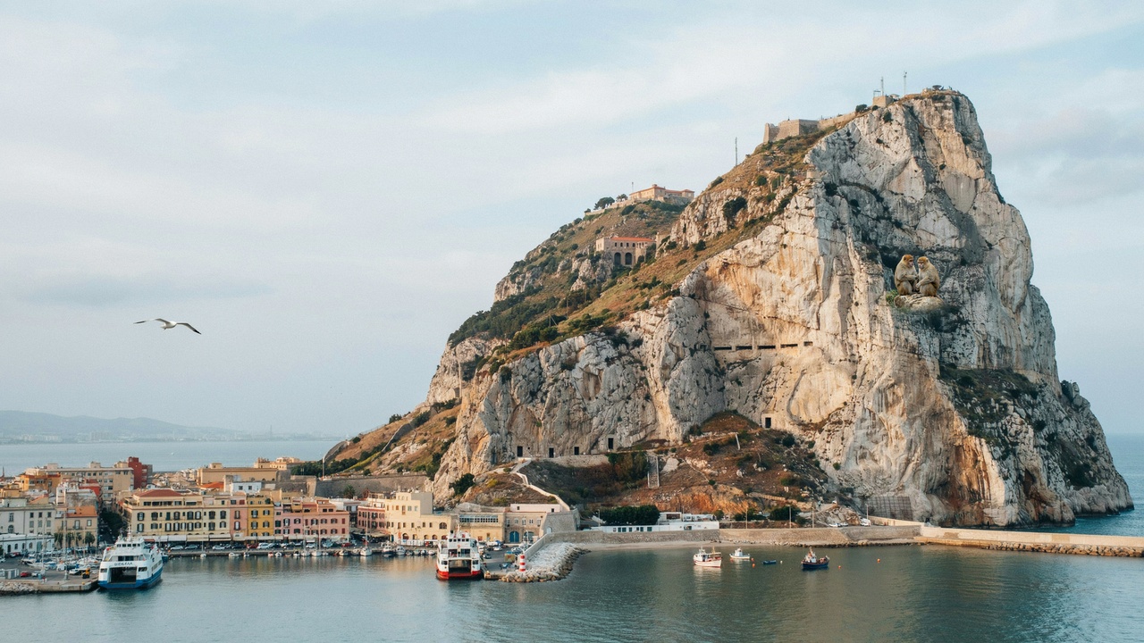 Gibraltar tourist board joins animondial to build a greener future for tourism and wildlife