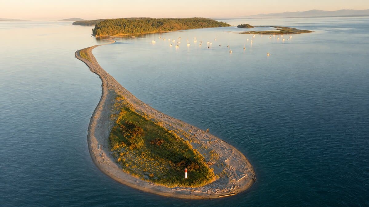 Sidney spit