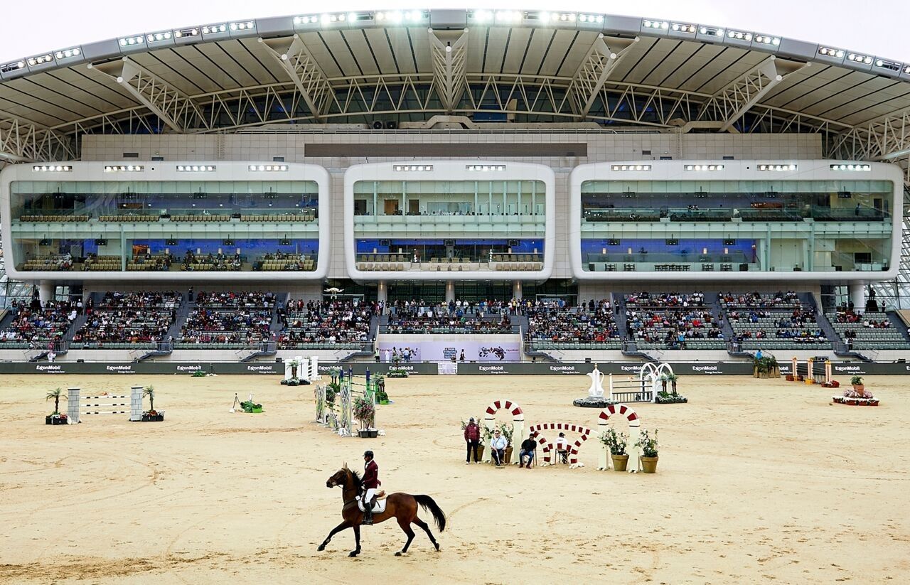 Horseshow - travel and tour world Arabian horses at al shaqab's Longines Outdoor Arena in Doha, Qatar.