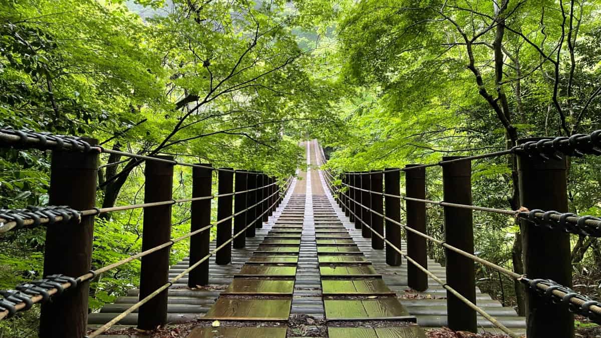 Hitachinokuni long trail - travel and tour world Hikers exploring the hitachinokuni long trail through northern ibaraki’s mountains, waterfalls and satoyama landscapes.