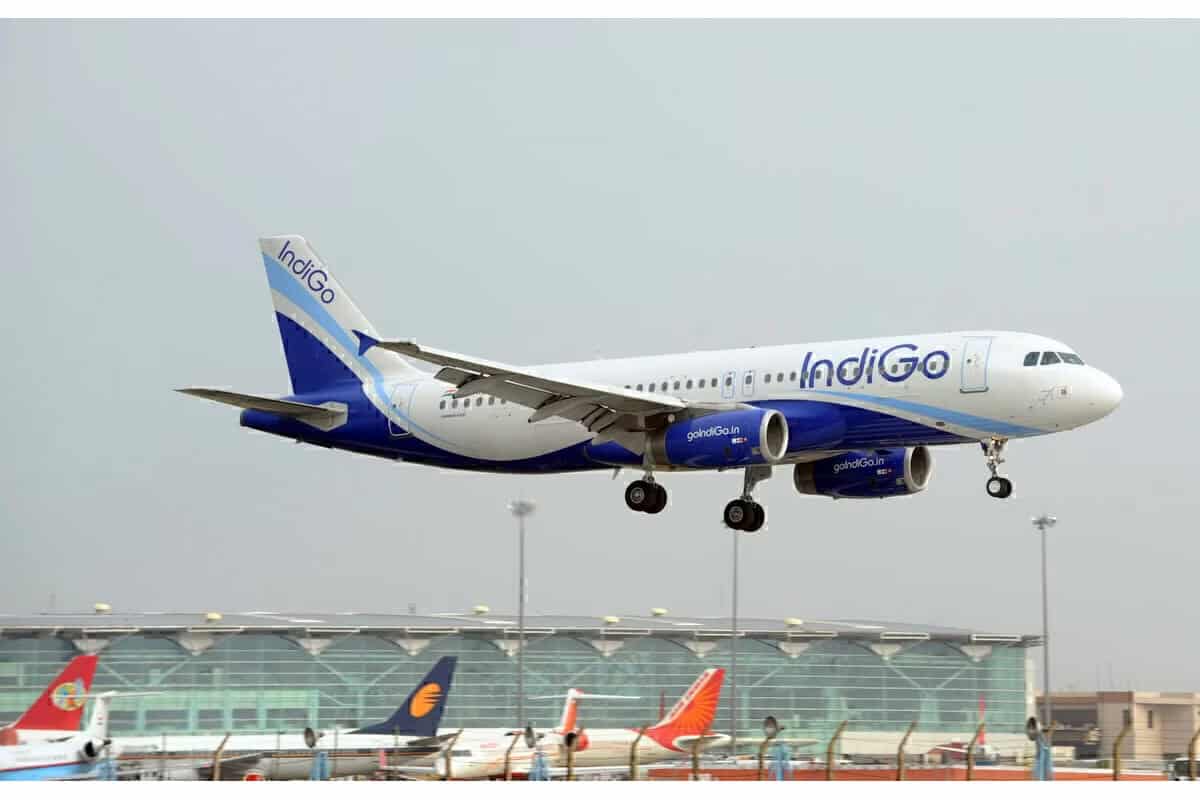 Indigo - travel and tour world Indigo flight takes off