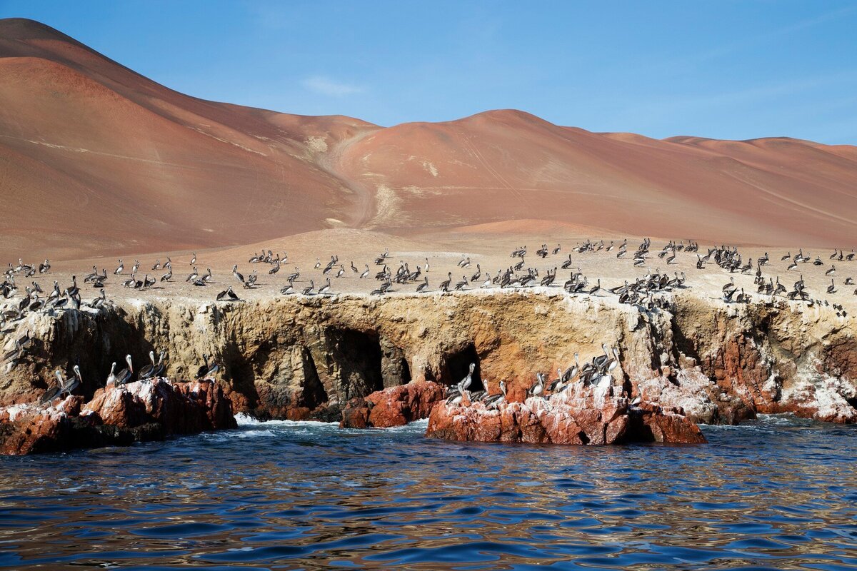 Islas Ballestas