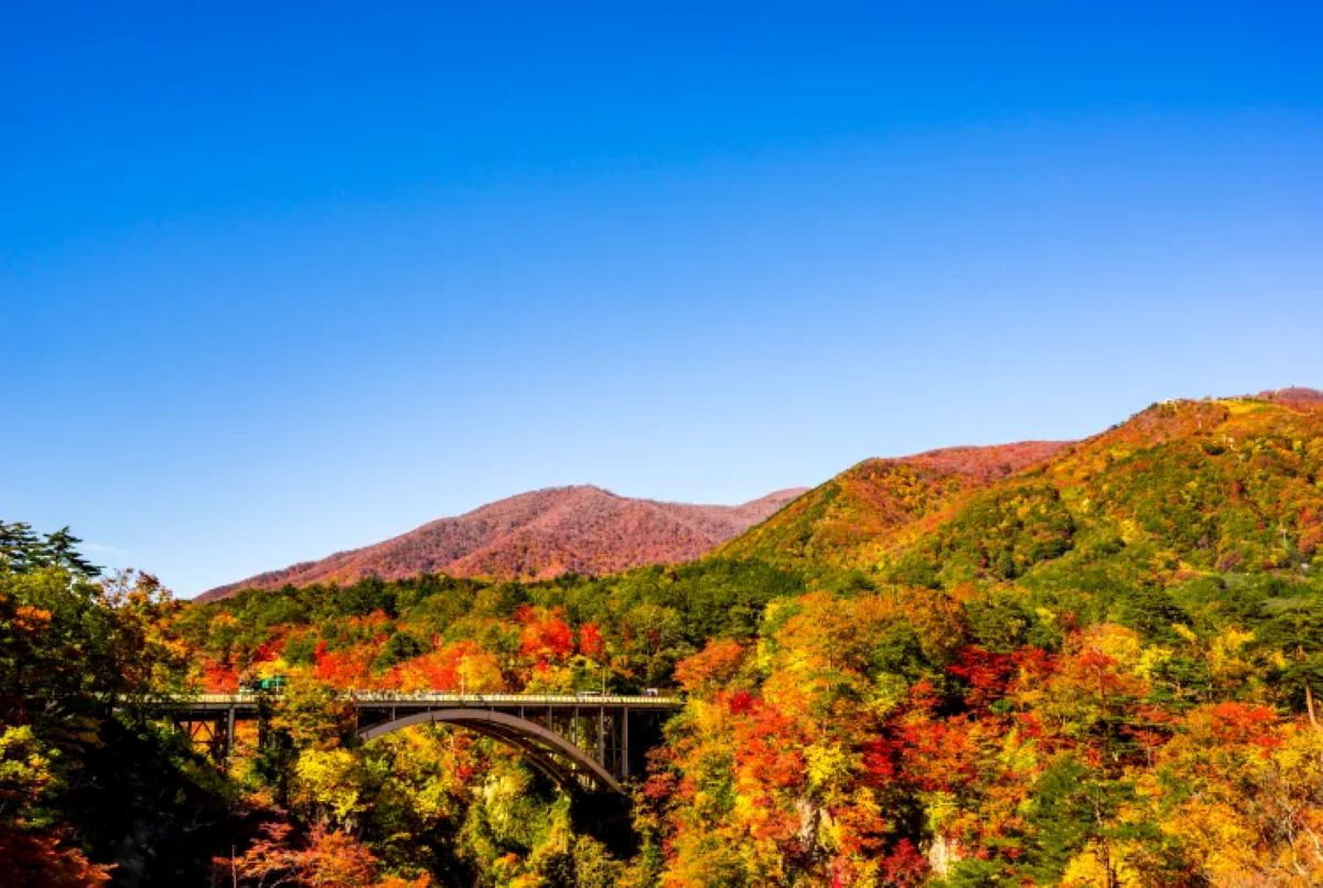 Japan is now on top of new tourism rankings as south korea rises to 12th with more balanced travel demand - travel and tour world Arched bridge spanning a forested gorge in japan, surrounded by vibrant autumn foliage beneath a clear blue sky.