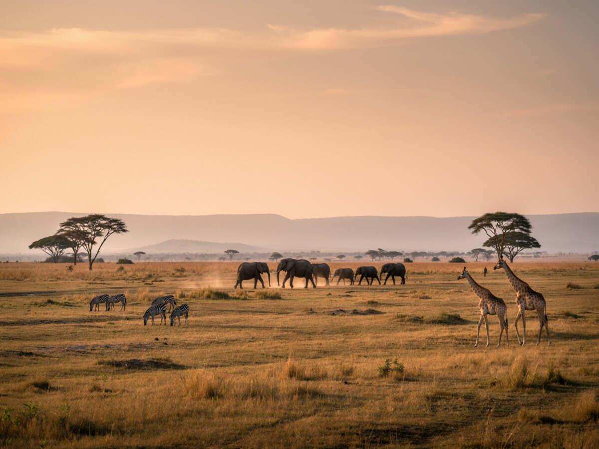 Kenya tourism - travel and tour world Kenya