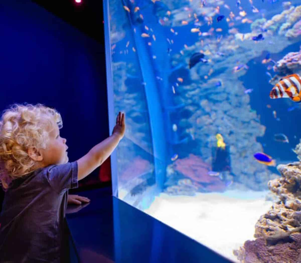 Kids free san diego october 2026