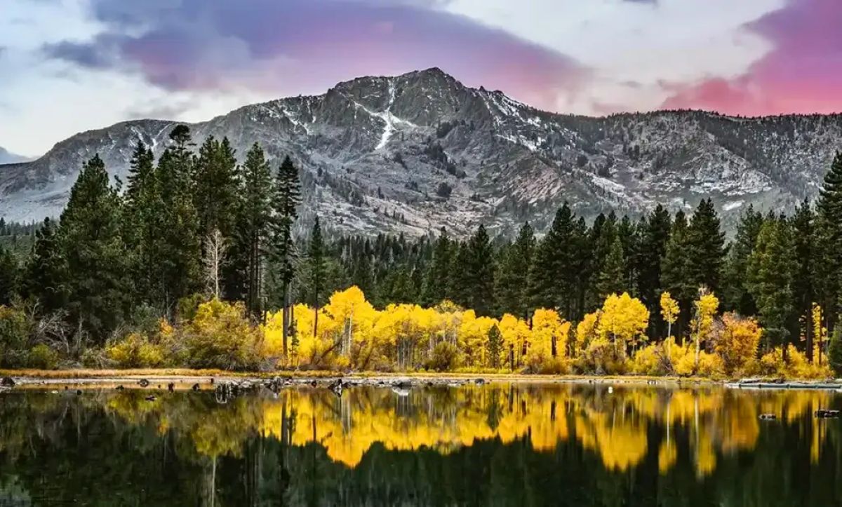 Lake tahoe - travel and tour world Lake tahoe reflecting golden autumn trees beneath snow-dusted mountains.