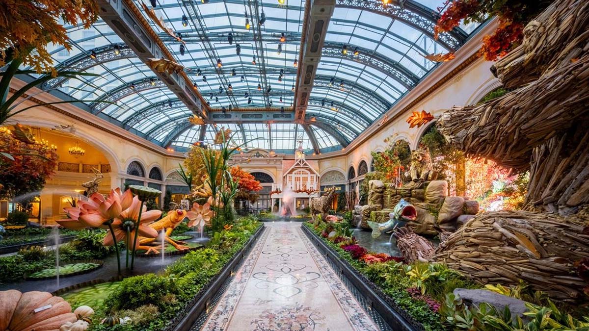 Las vegas_travel_tourism
