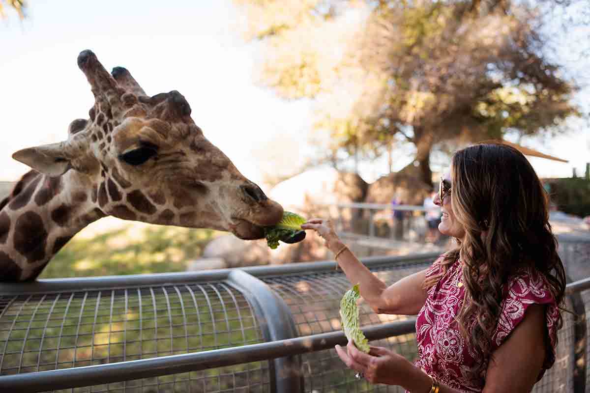 The visit california global influencer advisory board meets at the living desert zoo and gardens in palm springs, california on february 4, 2026. Image: visit california