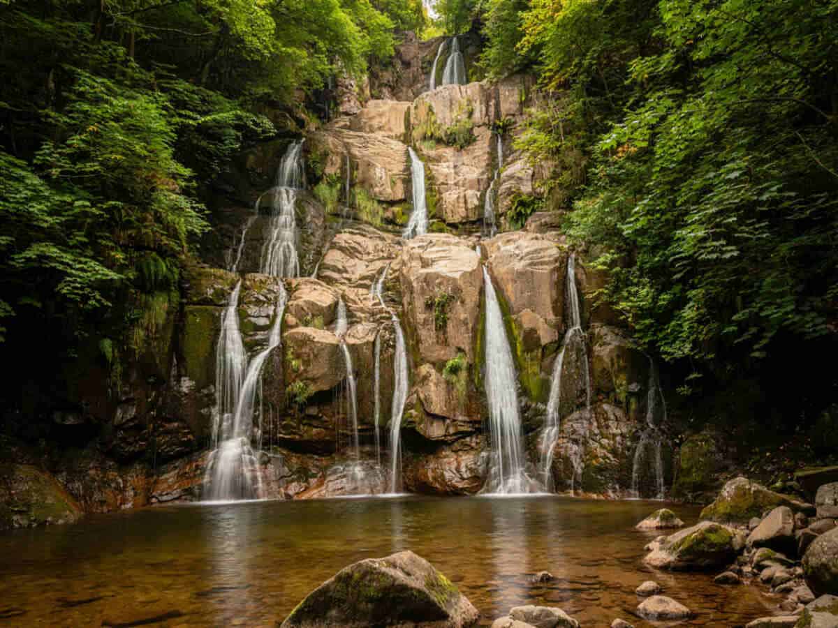Malaysia&rsquo;s lush rainforests, rare hornbills and spectacular waterfalls highlight its natural beauty.
