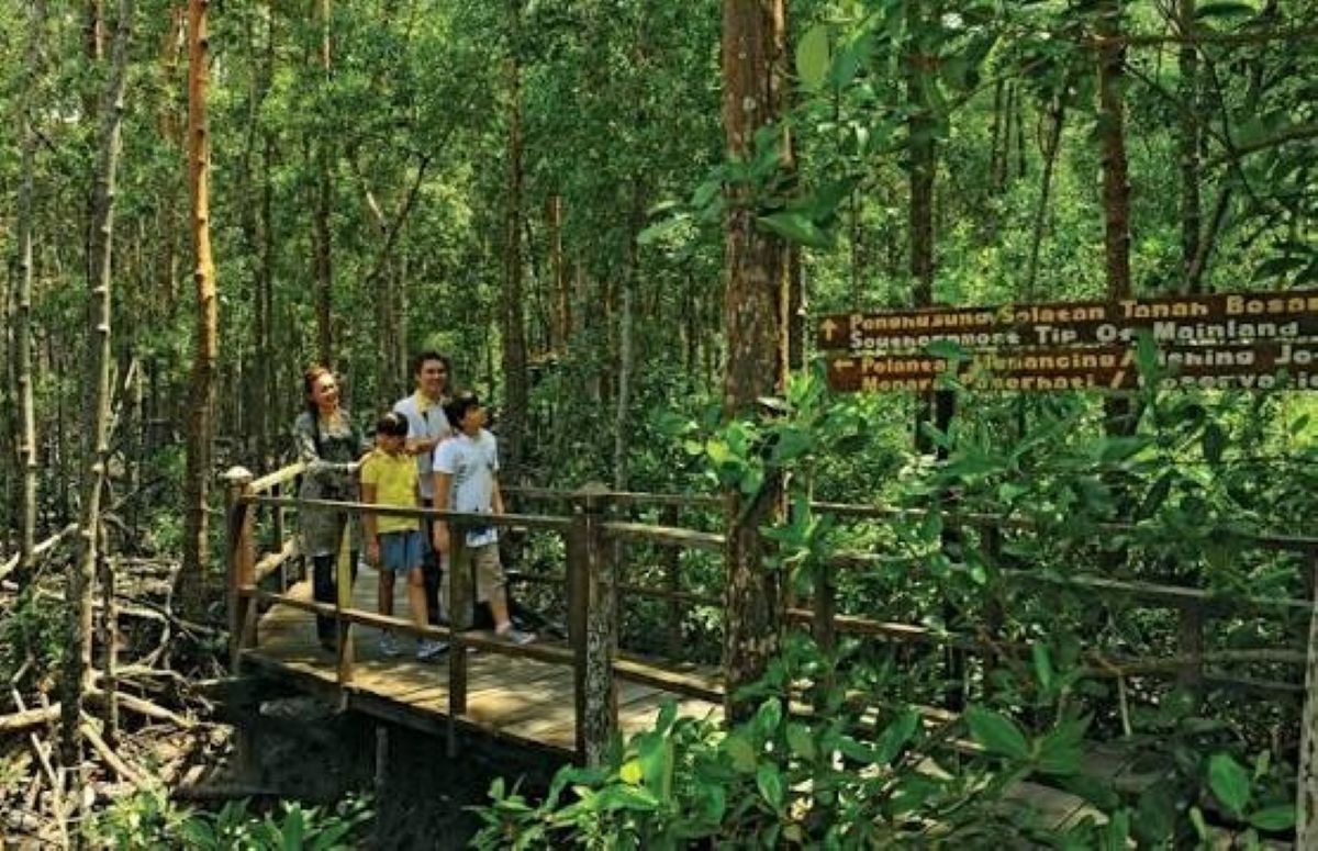 Family exploring a wooden boardwalk through malaysia&rsquo;s lush tropical rainforest.