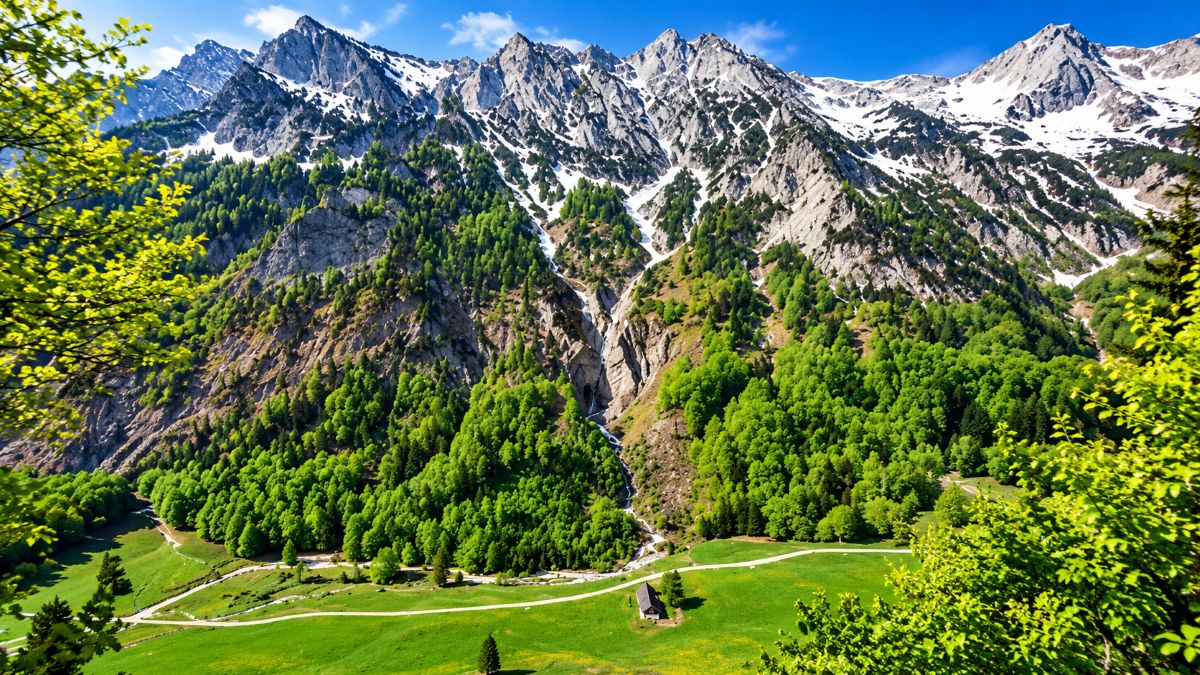 Panoramic alpine valley with lush green forests, a meadow and winding trail beneath dramatic snow-capped mountain peaks and a bright blue sky