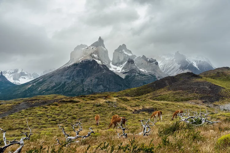 Patagonia - travel and tour world Hillside of patagonia