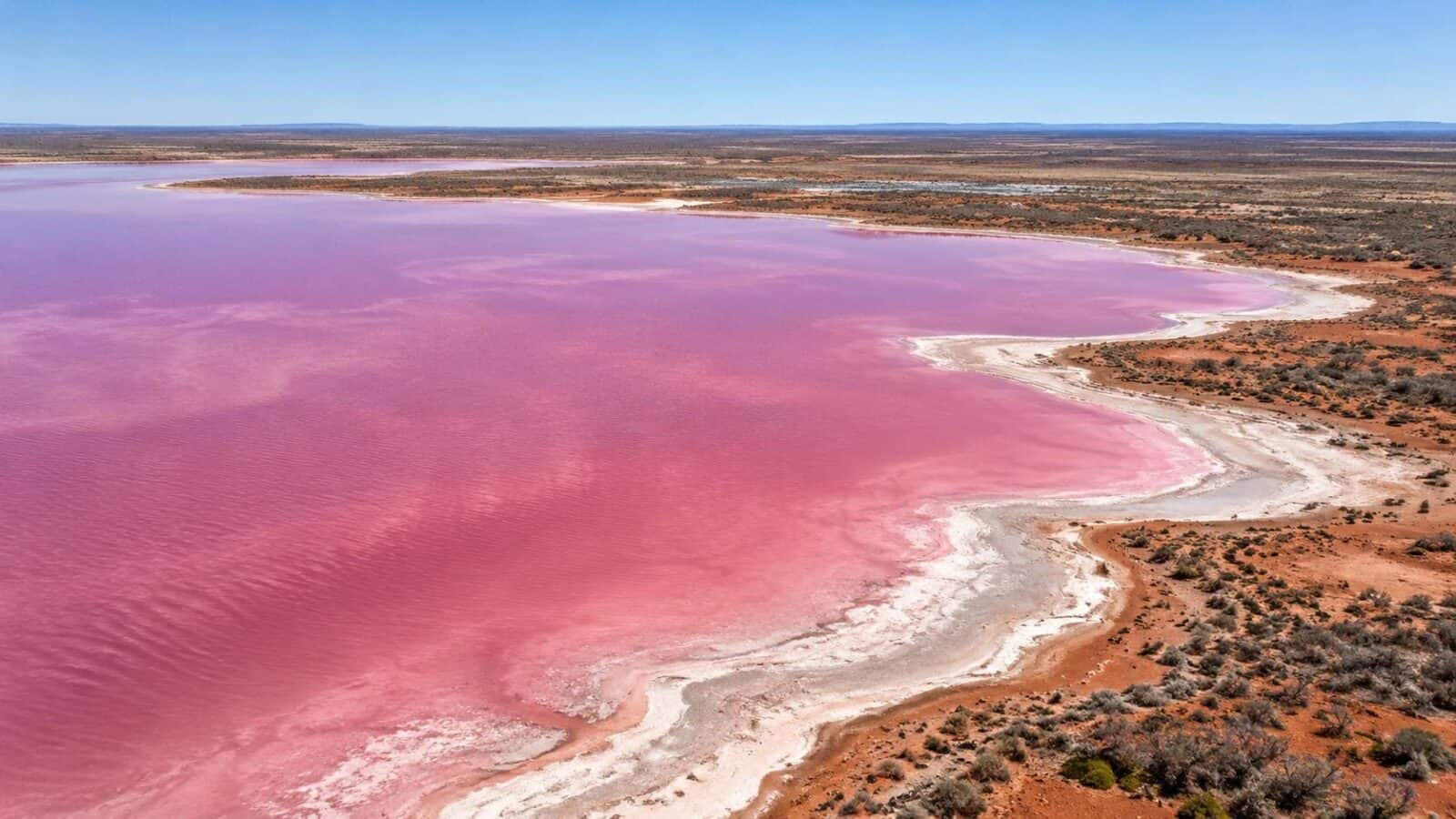 Australia - travel and tour world Editorial illustration of a pink salt lake in australia reflecting the landscape behind future outback tourism plans.