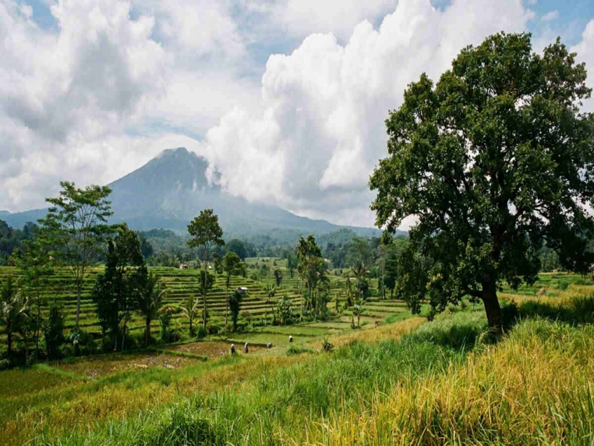 Rwanda travel - travel and tour world Rwanda travel