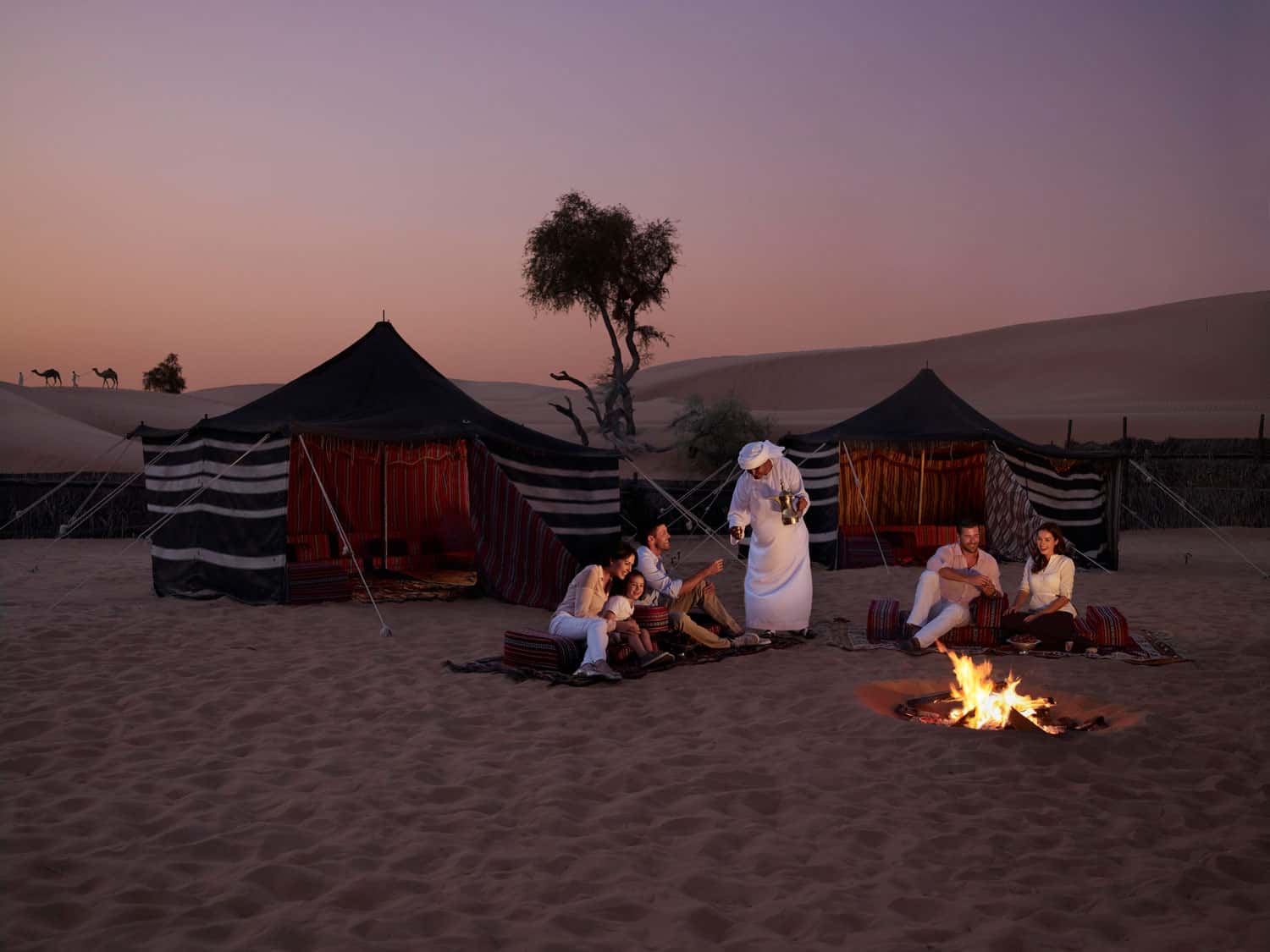 Guests beside a desert campfire as a host serves drinks outside striped tents, with camels on distant dunes.