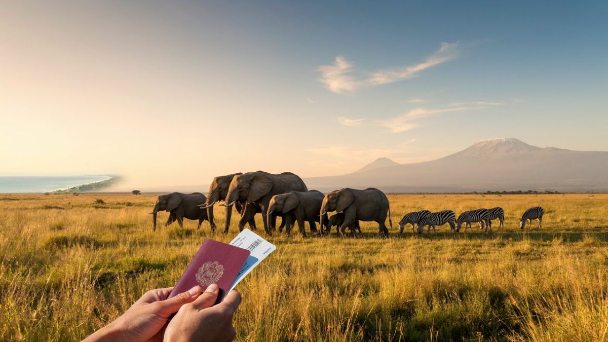 Tanzania - travel and tour world Tanzania now requires eligible foreign visitors to buy mandatory travel insurance for mainland entry. Discover the us cost and zanzibar travel rules.