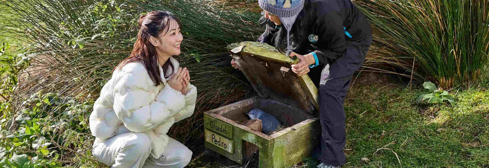 Tourism new zealand