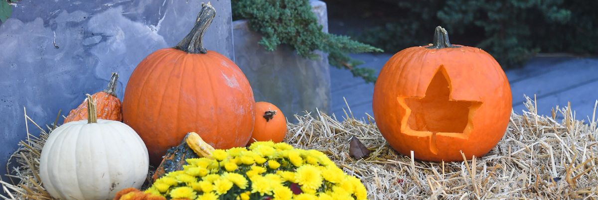 Us halloween destinations